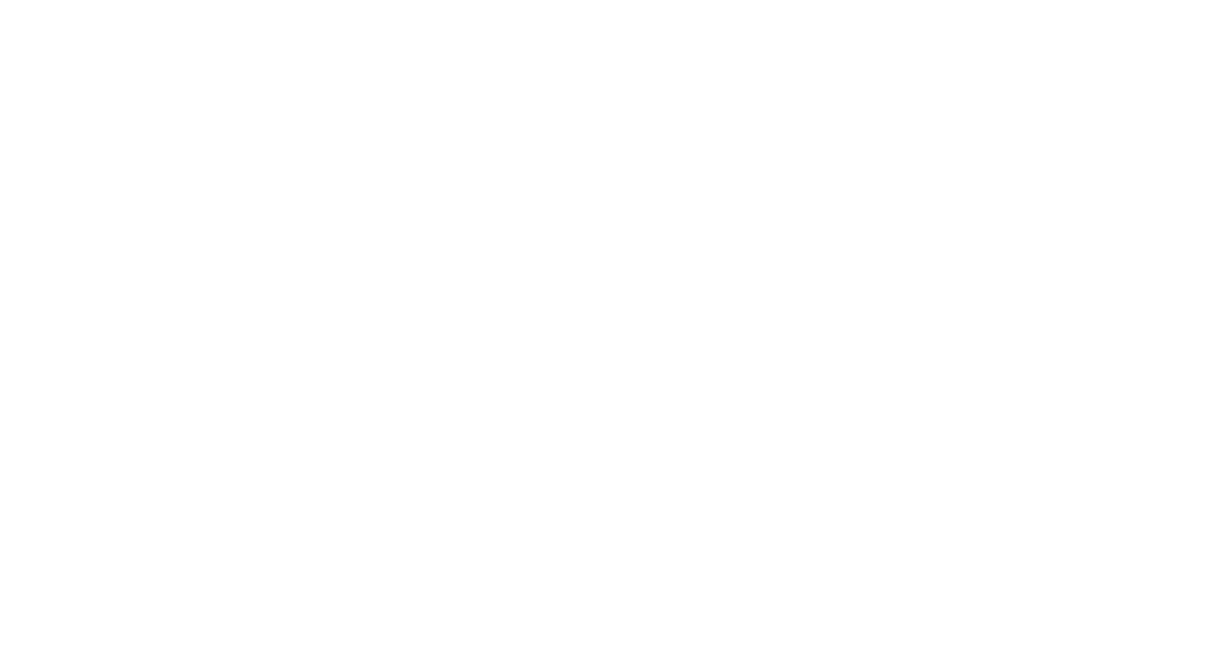 Top Flight Learning Institute